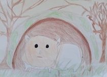 Súťaž